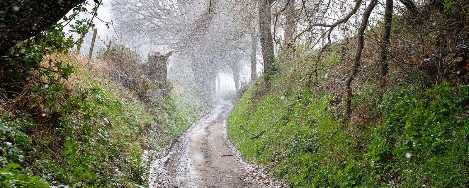 Holle weg / Winterslag