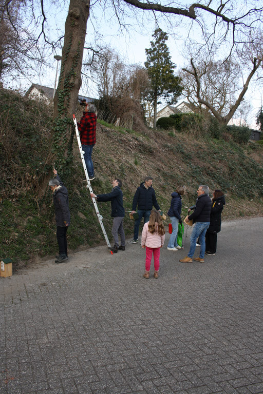 NLDOET2025_2637